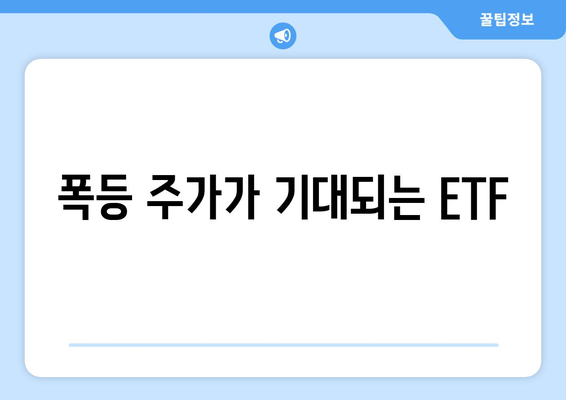 폭등 주가가 기대되는 ETF