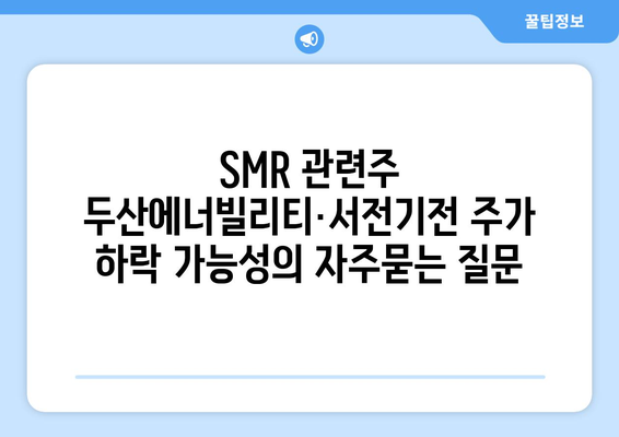 SMR 관련주 두산에너빌리티·서전기전 주가 하락 가능성