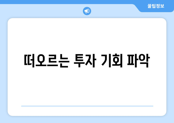 떠오르는 투자 기회 파악