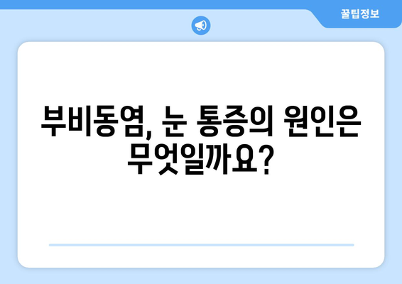 부비동염| 눈 통증과 눈 안쪽 통증, 원인과 증상 | 부비동염, 눈 통증, 안구 통증, 증상, 원인, 치료