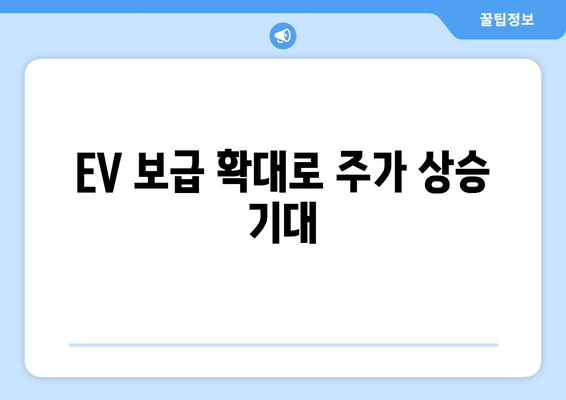 EV 보급 확대로 주가 상승 기대