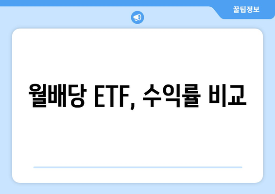 월배당 ETF, 수익률 비교