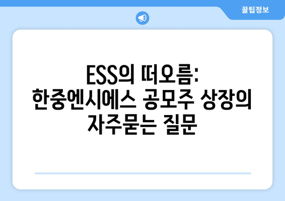 ESS의 떠오름: 한중엔시에스 공모주 상장