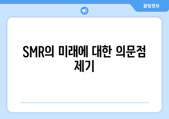 SMR의 미래에 대한 의문점 제기