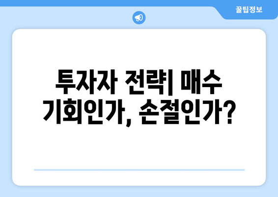 투자자 전략| 매수 기회인가, 손절인가?