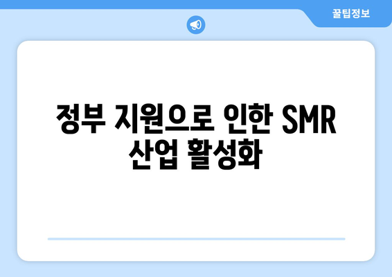 정부 지원으로 인한 SMR 산업 활성화