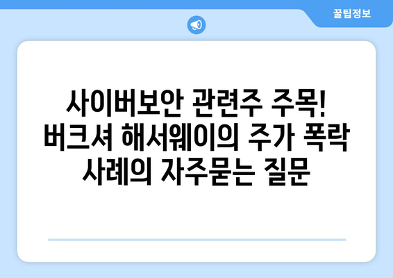 사이버보안 관련주 주목! 버크셔 해서웨이의 주가 폭락 사례