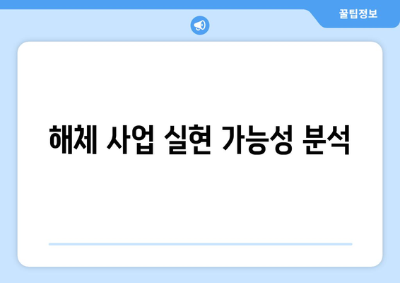 해체 사업 실현 가능성 분석