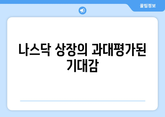 나스닥 상장의 과대평가된 기대감