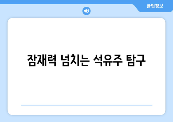 잠재력 넘치는 석유주 탐구