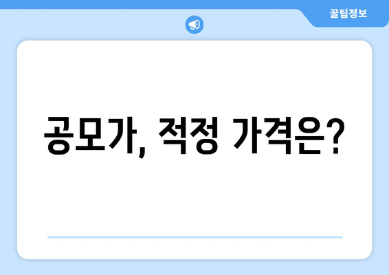 공모가, 적정 가격은?