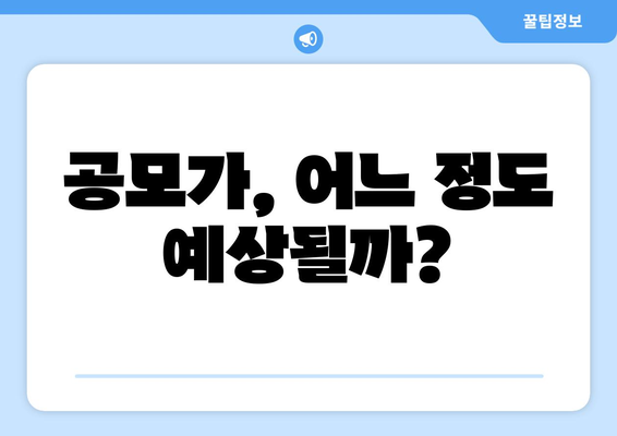 공모가, 어느 정도 예상될까?