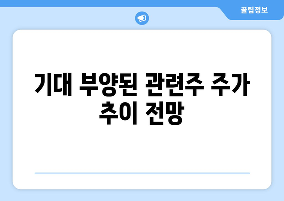 기대 부양된 관련주 주가 추이 전망