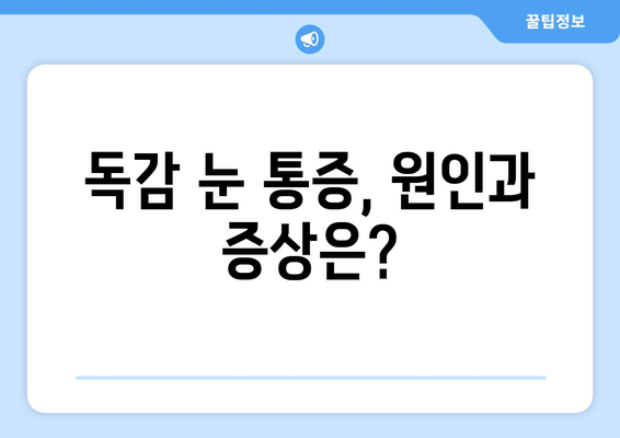 독감 눈 통증, 왜 생길까요? 증상과 예방법 완벽 가이드 | 독감, 눈 통증, 예방, 관리