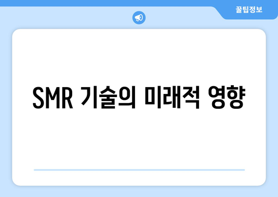 SMR 기술의 미래적 영향