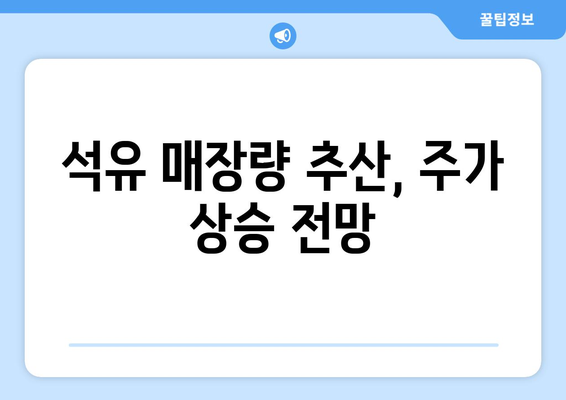 석유 매장량 추산, 주가 상승 전망