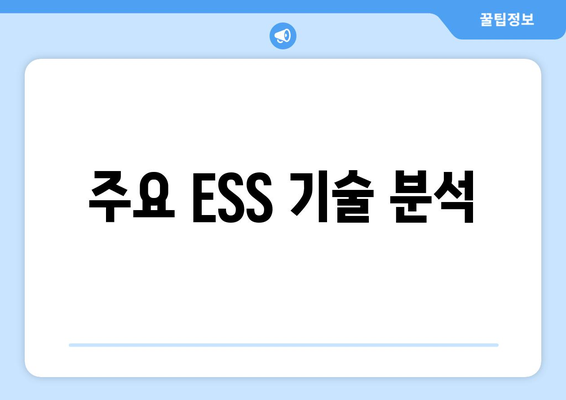 주요 ESS 기술 분석