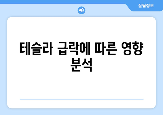 테슬라 급락에 따른 영향 분석