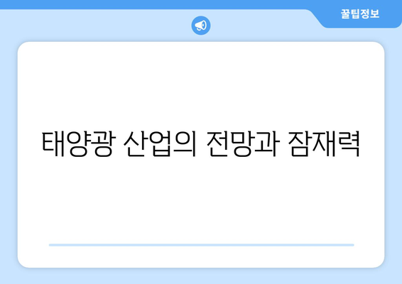 태양광 산업의 전망과 잠재력