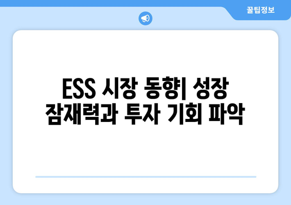 ESS 시장 동향| 성장 잠재력과 투자 기회 파악