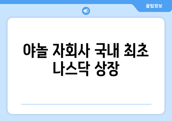 야놀 자회사 국내 최초 나스닥 상장