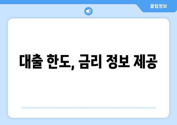 대출 한도, 금리 정보 제공