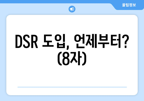 DSR 도입, 언제부터? (8자)