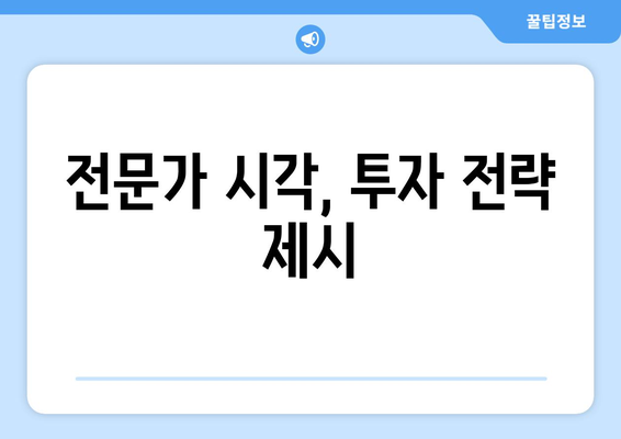 전문가 시각, 투자 전략 제시