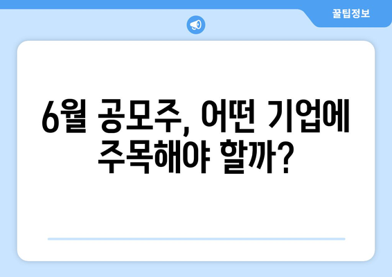 6월 공모주, 어떤 기업에 주목해야 할까?