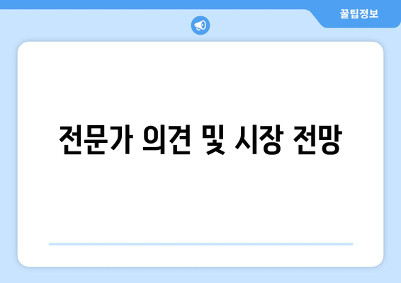 전문가 의견 및 시장 전망