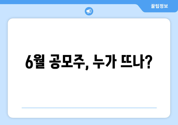 6월 공모주, 누가 뜨나?