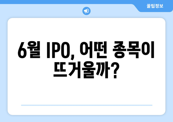 6월 IPO, 어떤 종목이 뜨거울까?