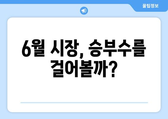 6월 시장, 승부수를 걸어볼까?