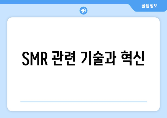 SMR 관련 기술과 혁신