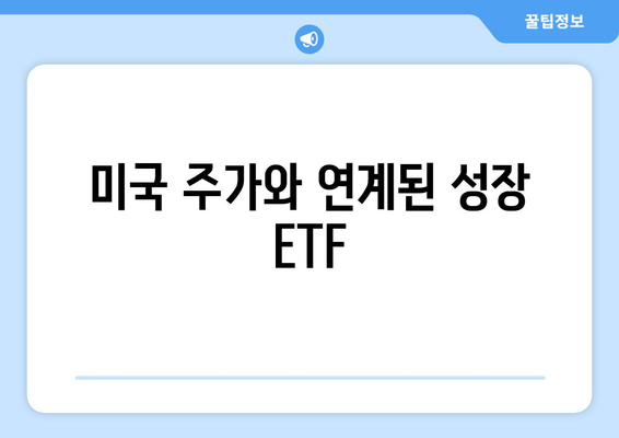 미국 주가와 연계된 성장 ETF