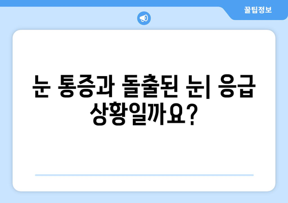 눈 통증과 돌출된 눈| 응급 상황, 언제 병원에 가야 할까요? | 눈 건강, 응급처치, 안과 질환