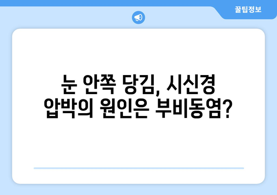 부비동염이 눈 통증을 유발할까요? 눈 안쪽 당김과 시신경 압박의 원인과 해결책 | 부비동염, 눈 통증, 시신경 압박, 안구 통증, 부비동염 증상