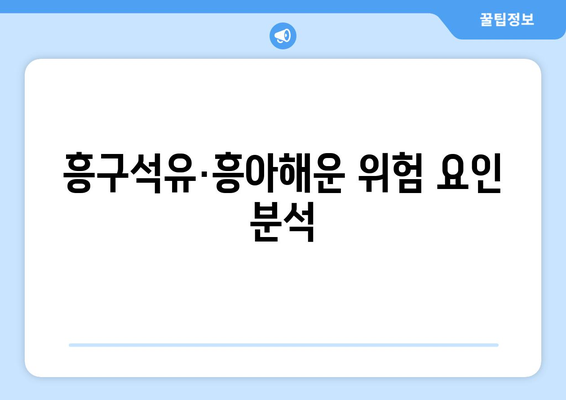 흥구석유·흥아해운 위험 요인 분석