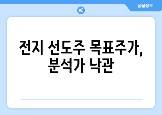 전지 선도주 목표주가, 분석가 낙관