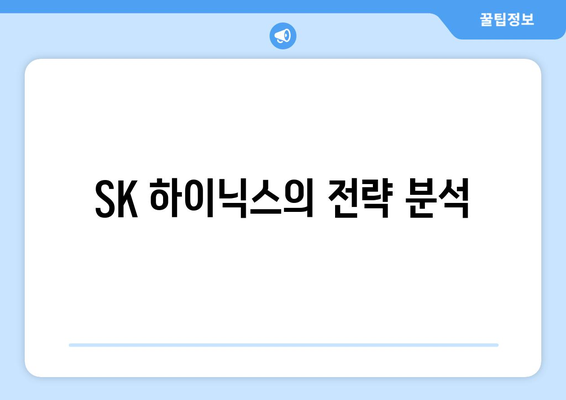 SK 하이닉스의 전략 분석