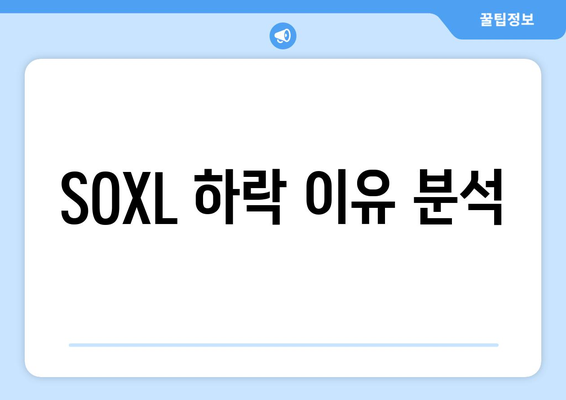 SOXL 하락 이유 분석