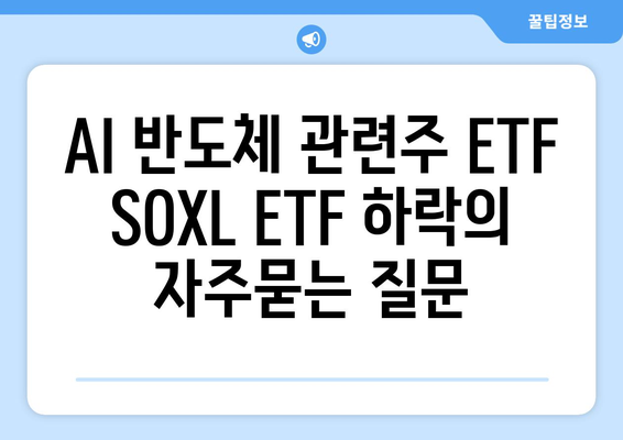 AI 반도체 관련주 ETF SOXL ETF 하락