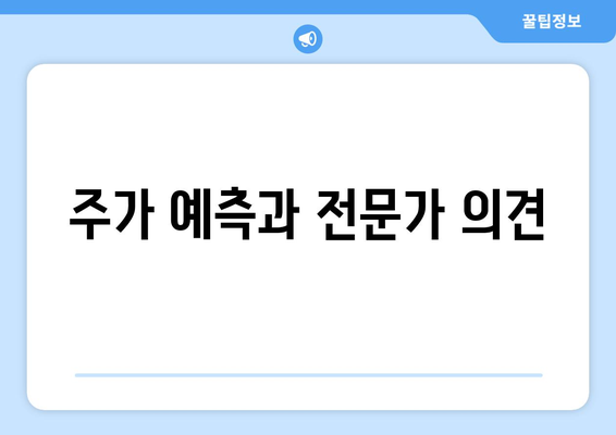 주가 예측과 전문가 의견