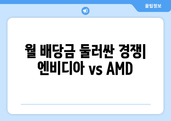 월 배당금 둘러싼 경쟁| 엔비디아 vs AMD