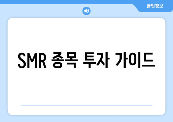 SMR 종목 투자 가이드