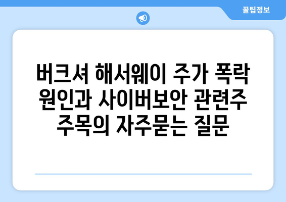 버크셔 해서웨이 주가 폭락 원인과 사이버보안 관련주 주목