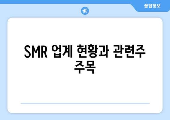 SMR 업계 현황과 관련주 주목