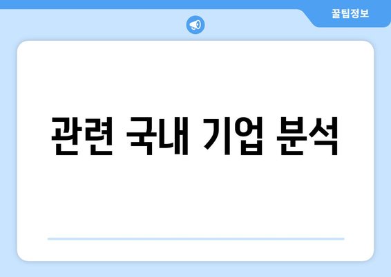 관련 국내 기업 분석