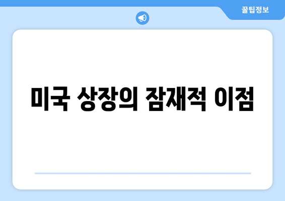 미국 상장의 잠재적 이점