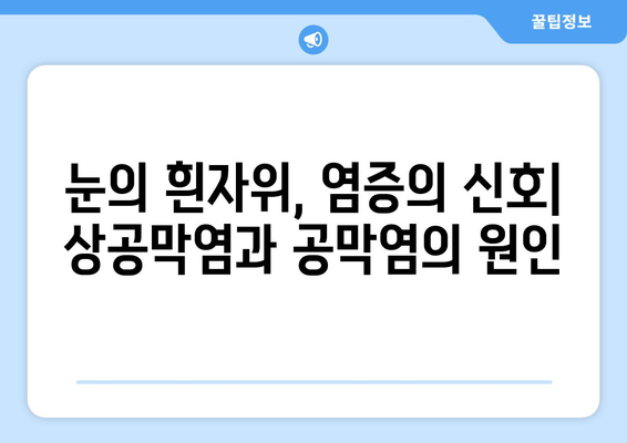 상공막염과 공막염| 원인, 증상, 응급 상황 완벽 가이드 | 눈 건강, 안과 질환, 치료